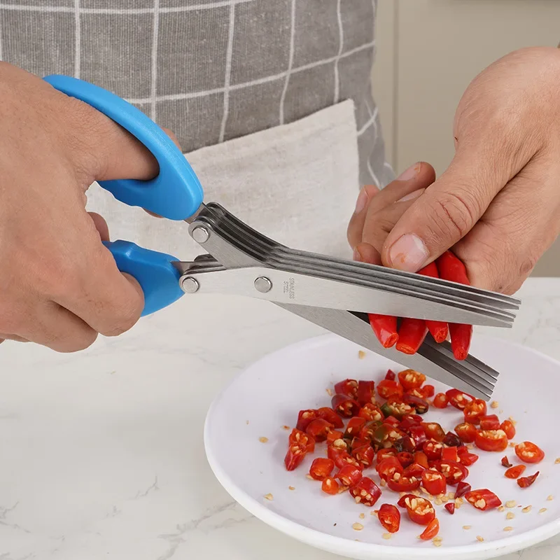 Herb Scissors 5 Blade - Ciseaux de Cuisine Multifonctionnels en Acier