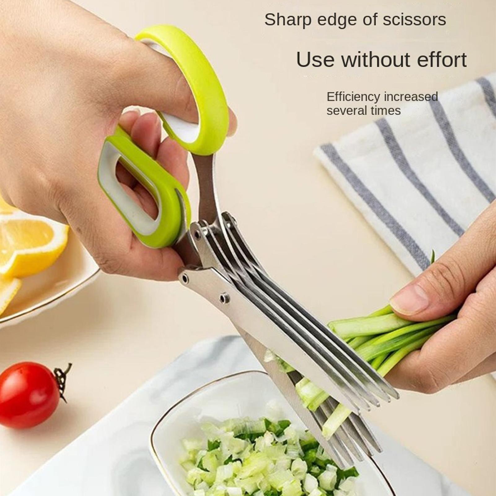 Ciseaux à herbes 5 lames en ac - Herb Scissors 5 Blade avis et prix