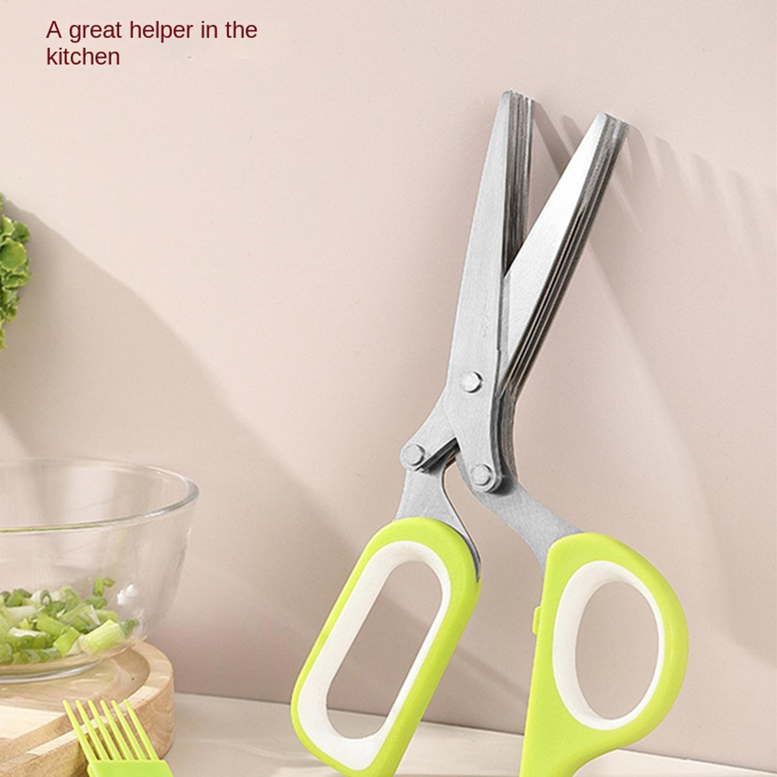 Ciseaux à herbes 5 lames en ac - Herb Scissors 5 Blade avis et prix