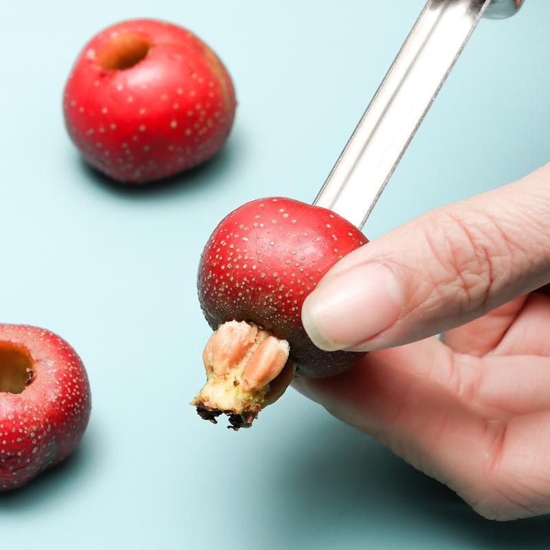 Outil de dénoyautage pour frui - Kitchen Gadgets In China avis et prix
