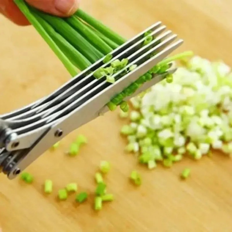 Ciseaux à herbes pour gagner d - Herb Scissors 5 Blade avis et prix