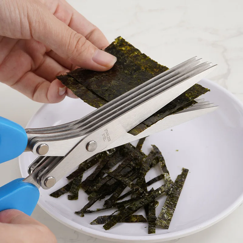 Ciseaux à herbes multifonction - Herb Scissors 5 Blade avis et prix