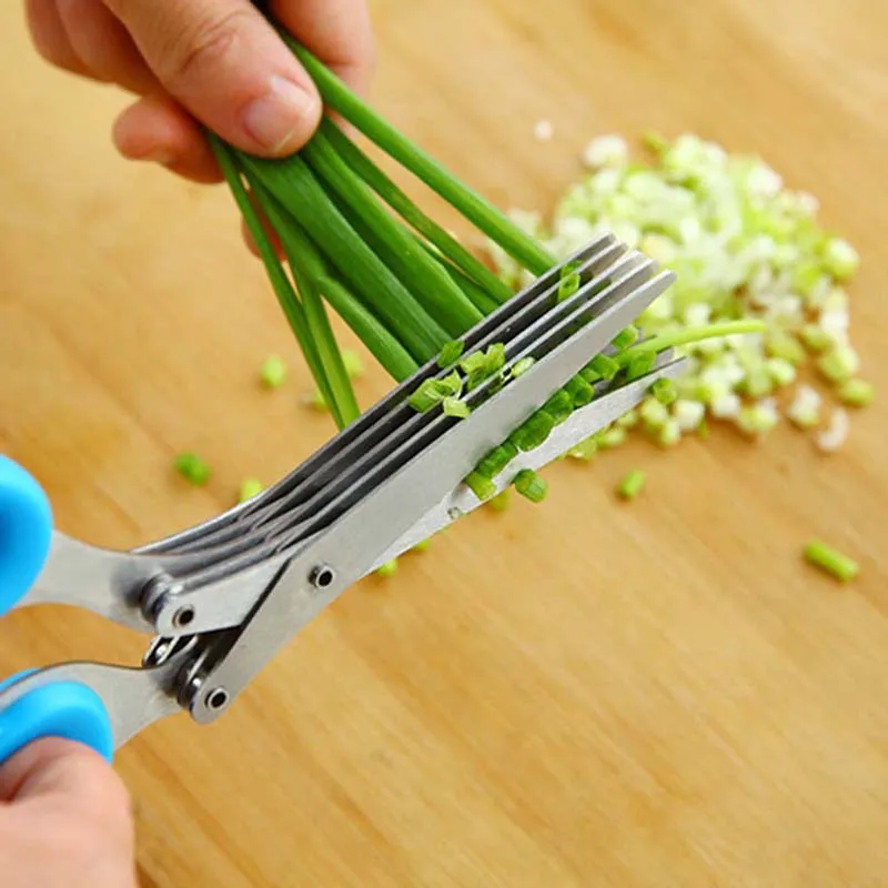 Ciseaux à échalotes multifonct - Herb Scissors 5 Blade avis et prix
